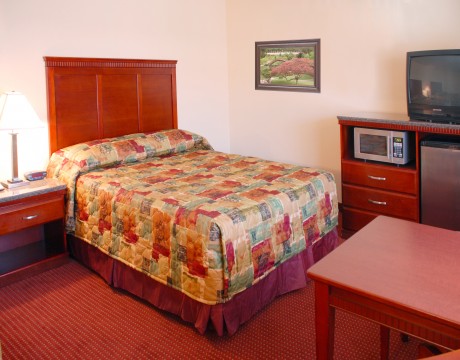 Relax Inn and Suites - Single Queen Bed